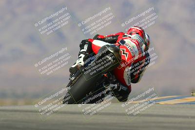 media/Jan-13-2024-SoCal Trackdays (Sat) [[9c032fe5aa]]/Turn 9 Backside (110pm)/